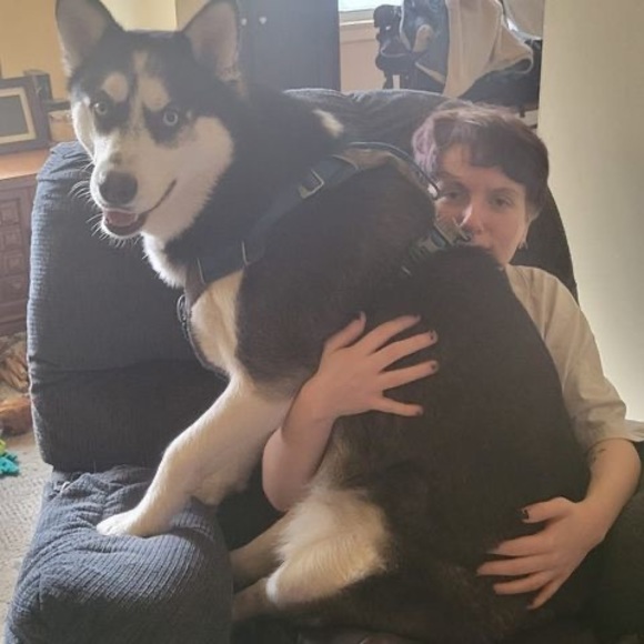 Meet your Posher, Scott - Picture 1 of 1